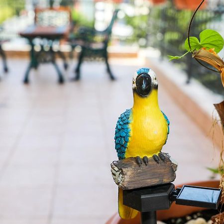Family Hotel Deykin Sunny Beach Ngoại thất bức ảnh